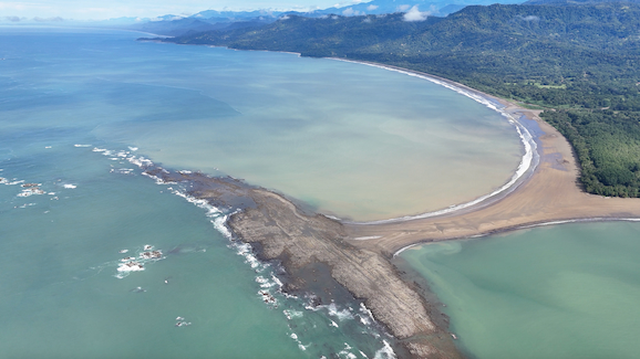 Uvita, Puntarenas - Avistamiento de Ballenas